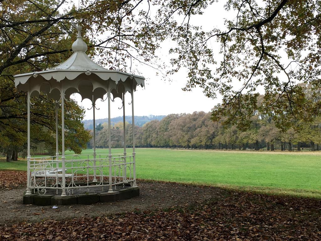 Allee * Baden-Baden