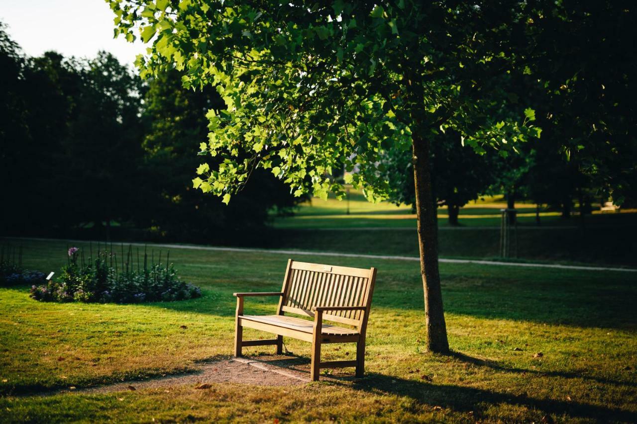 Allee Baden-Baden